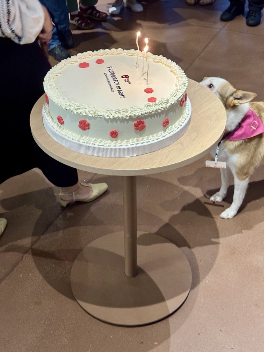 nother_fella2's tweet image. Great to share Dzyga’s NGO’s third birthday amongst friends and other people with common values. The humans who help Dzyga’s behind the scenes at @dzygaspaw seem very useful too btw!