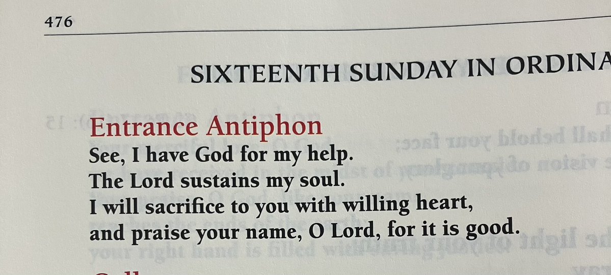 DavidPaternostr's tweet image. A fitting antiphon for my first Mass in a new city