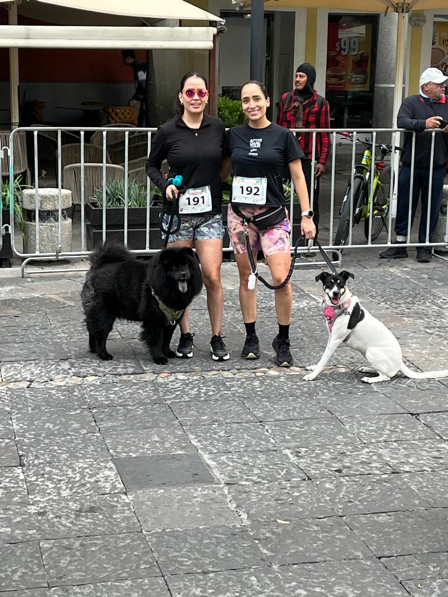 🐶🐶🥰😍Nos mandan esta bella postal de Kira (blanca) Baghera (negra)