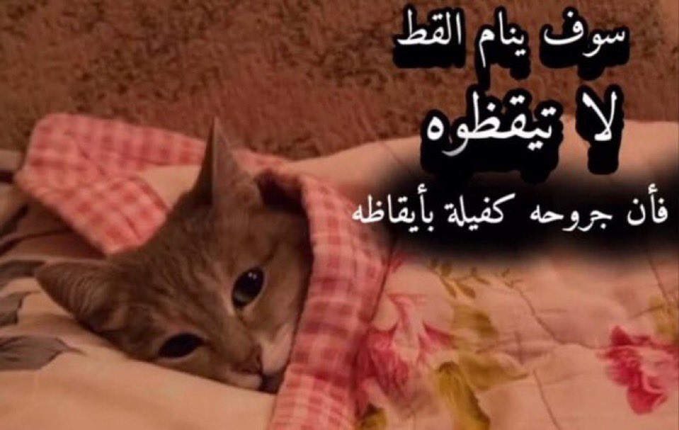 bm94__'s tweet photo. دوامي الساعه ٦ و باقي ما نمت https://t.co/wMScFuykKT