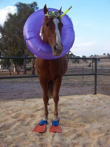 femmenart's tweet image. went to the pool to play marco polo and do summersaults underwater