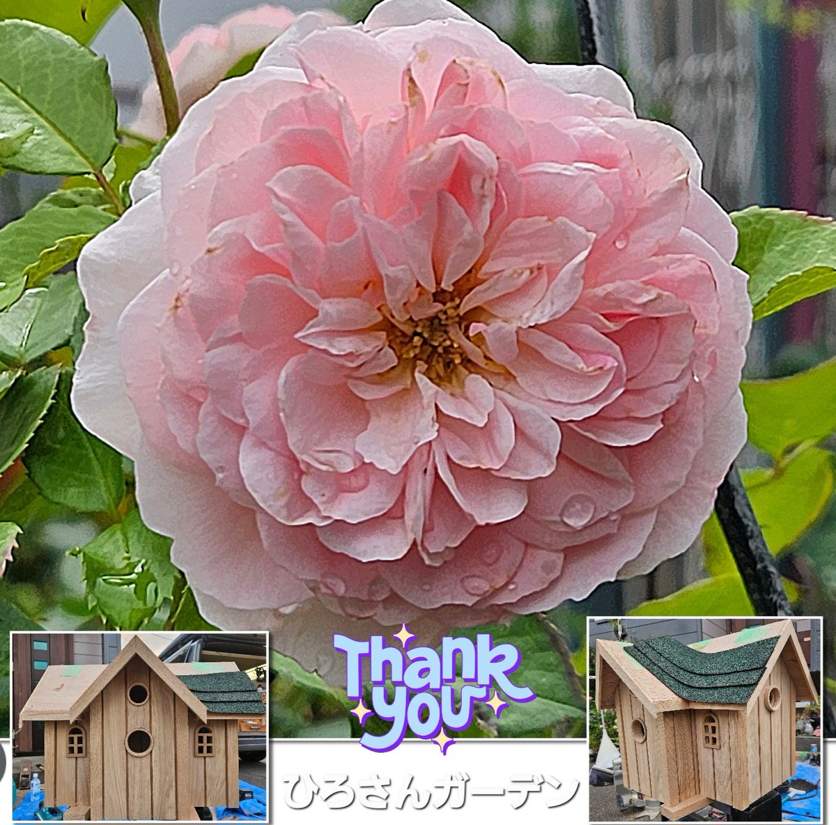 kft_qt's tweet image. 🐔&amp;lt;ｺｹｯ😁
٩(*´︶`*)۶おはよ〜ございます
⛅️32℃⤴︎🫣

今日は、 ほとんどの お国で
お天気☀️.°良さそうですが
熱中症に⚠️注意⚠️して
楽しい祭日に し〜てね☝️

昨日、🐦🏠に 窓🪟が
付きました〜✌️
『YKK』⁉️…🤔💭ꉂ😂w

今日は現場に٩( &apos;ω&apos; )و🚗💨です
頑張ります٩(🔥▽🔥)۶
 
🌹リュパンだす