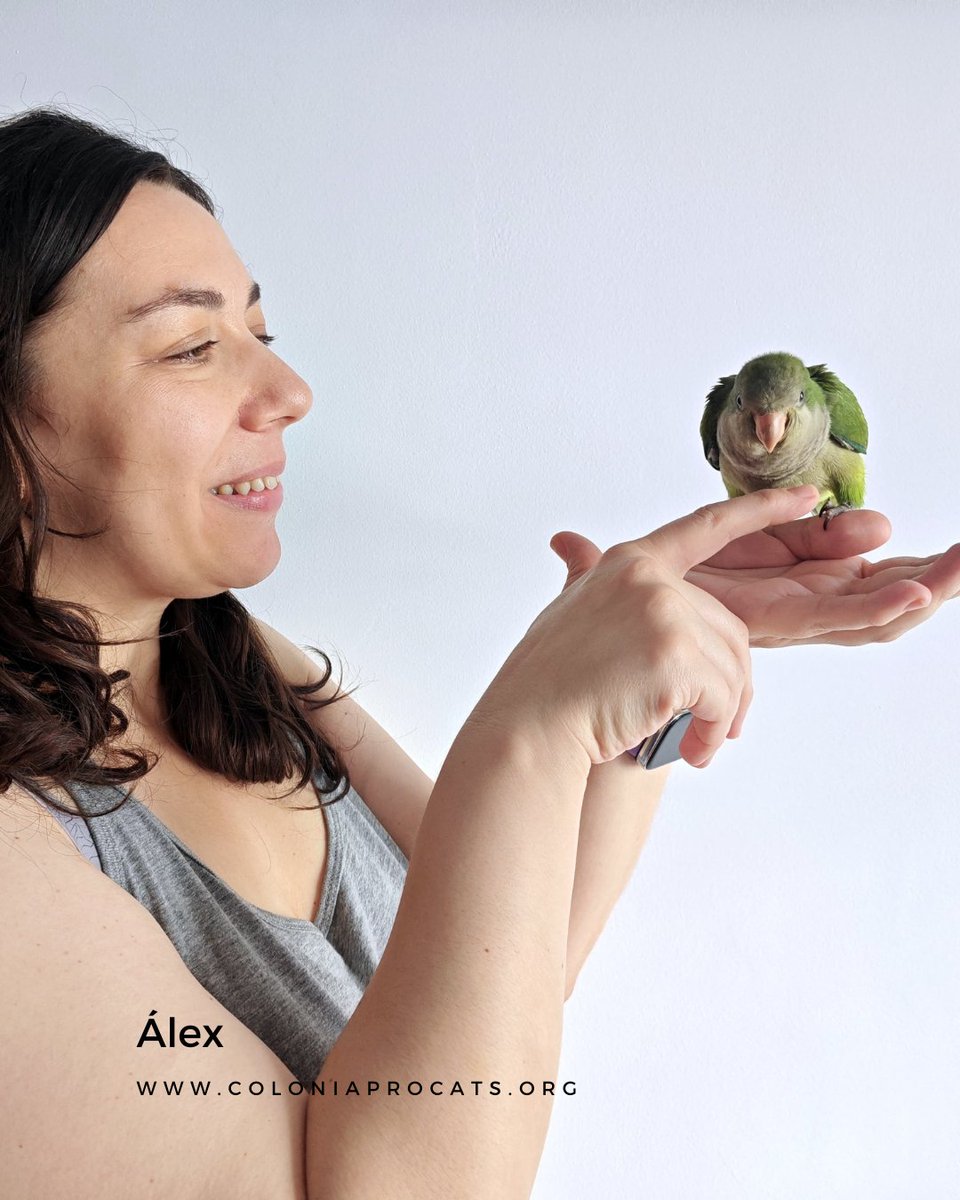 Colonia Procats tweet media