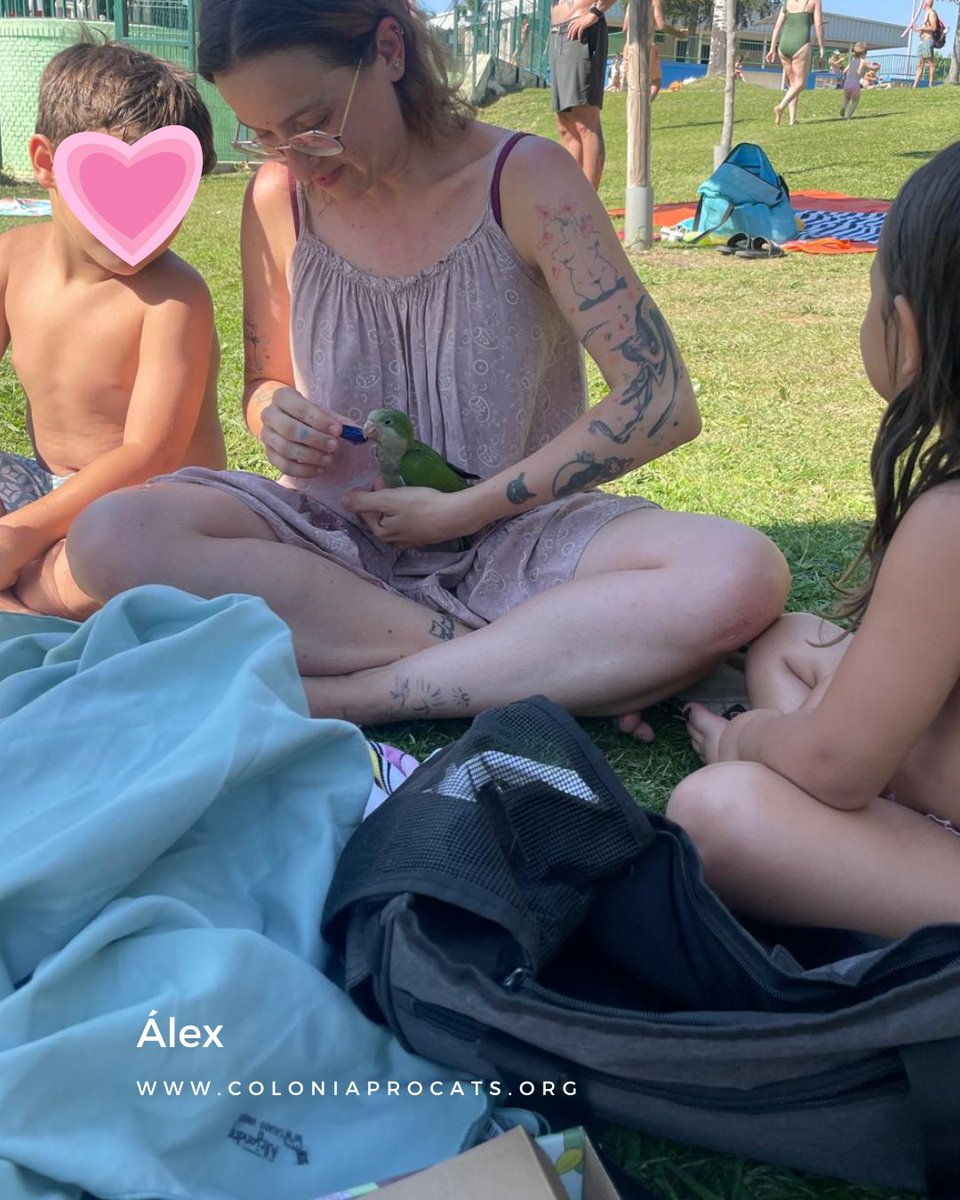 Colonia Procats tweet media