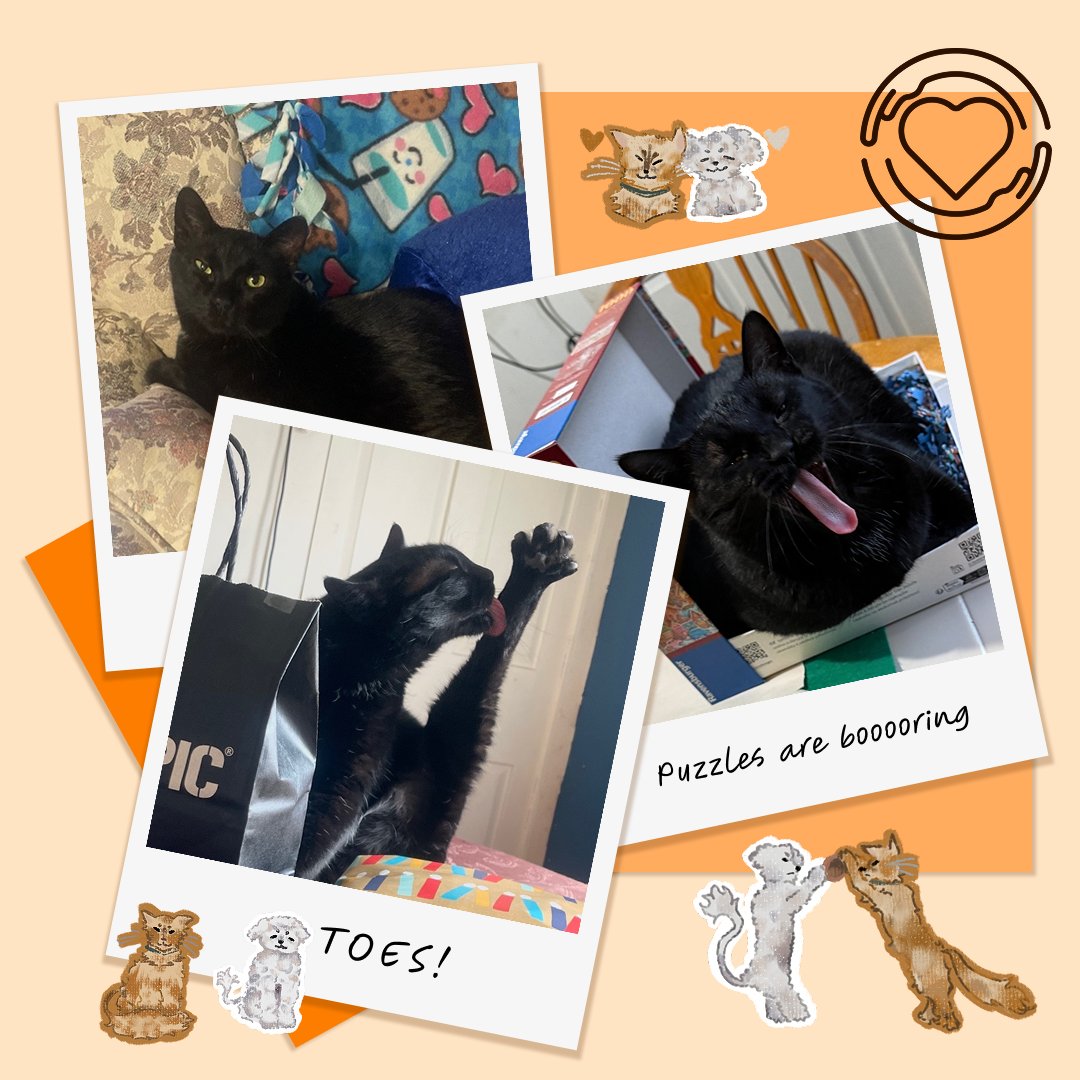 OneofUsGlobal's tweet image. Meet Rye Rye! They enjoy the challenge of hunting wild chicken nuggets and helping CJ with her work as a Social Impact Team member.
Conoce a Rye Rye! Ellx disfruta del desafío de cazar nuggets de pollo y de ayudar a CJ con su trabajo en como parte del Social Impact Team.