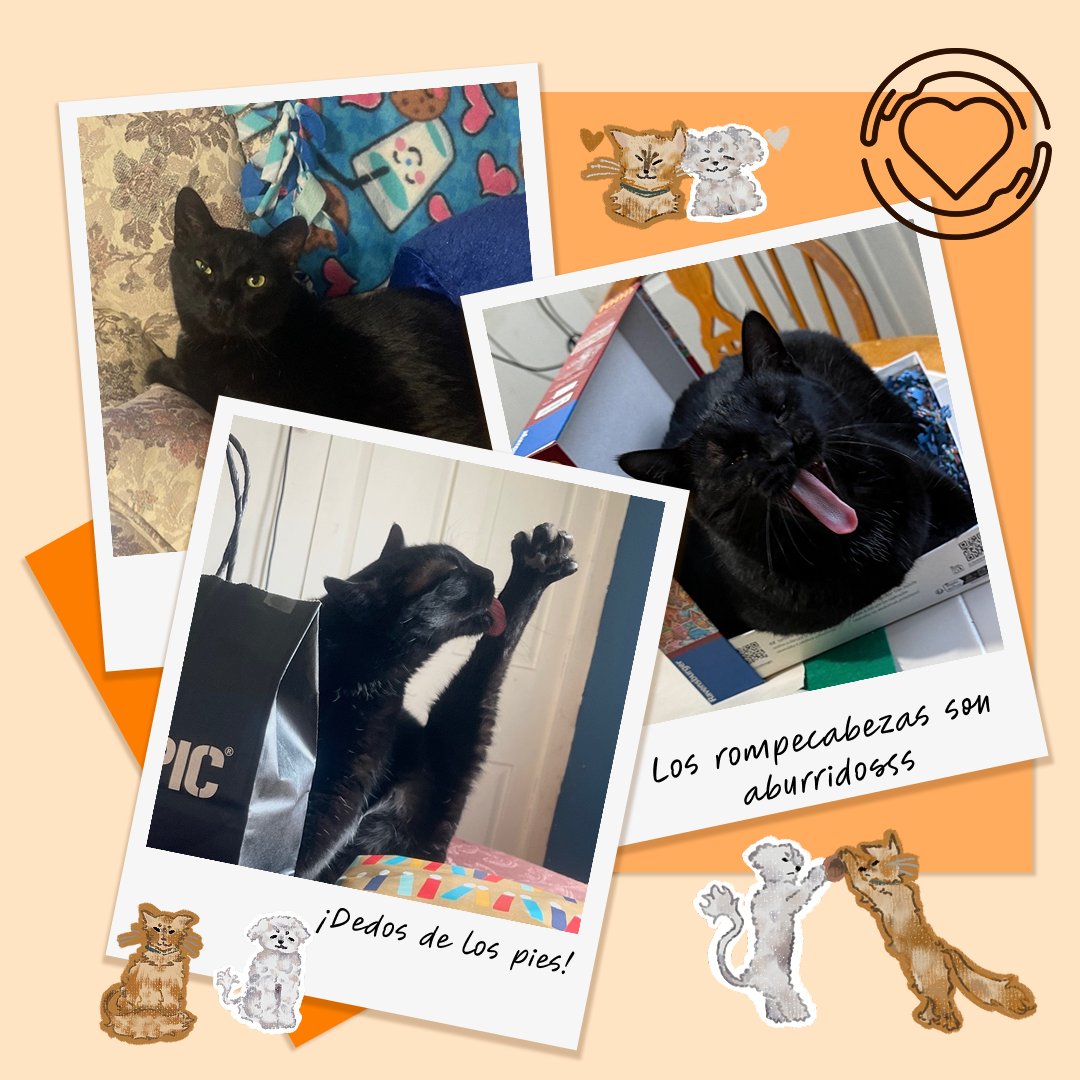 OneofUsGlobal's tweet image. Meet Rye Rye! They enjoy the challenge of hunting wild chicken nuggets and helping CJ with her work as a Social Impact Team member.
Conoce a Rye Rye! Ellx disfruta del desafío de cazar nuggets de pollo y de ayudar a CJ con su trabajo en como parte del Social Impact Team.