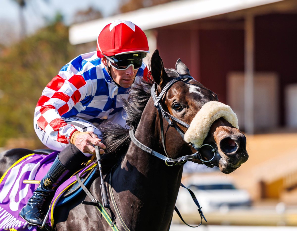 Green Gateway delivered on our high expectations of him with a polished ride from Gavin Lerena.
Congrats to the partners Messrs B D Airey, T Gujadhur &amp; G Ragunan, Mrs N P Malherbe, Fieldspring Racing &amp; Greenacres Trust (Nom: Mr N M Shirtliff) &amp; Varsfontein Stud who bred him.