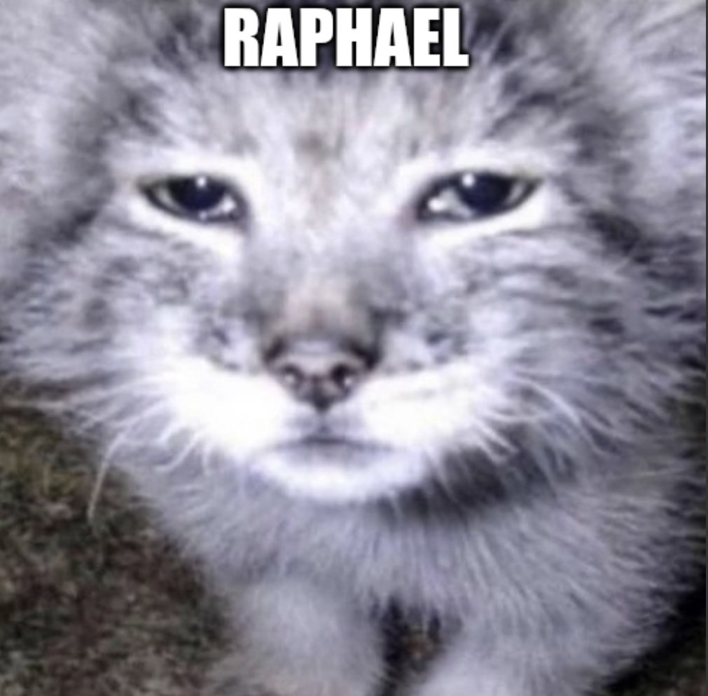 PZusso's tweet image. Raphael