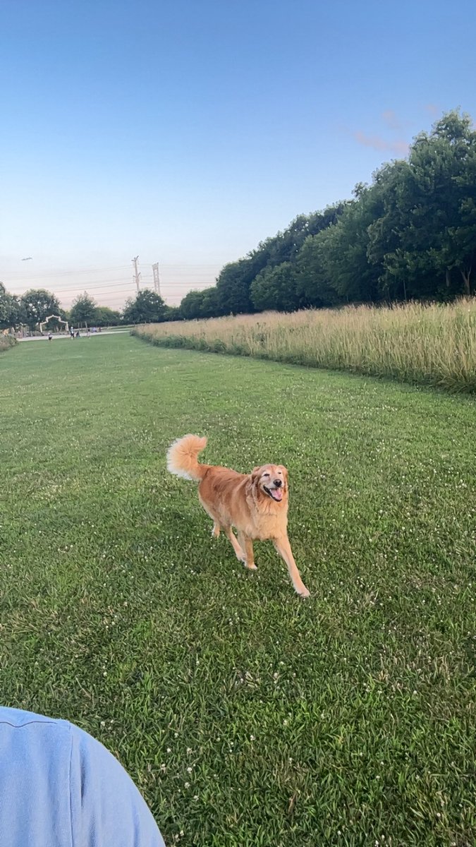 wG_Chromed's tweet image. Life