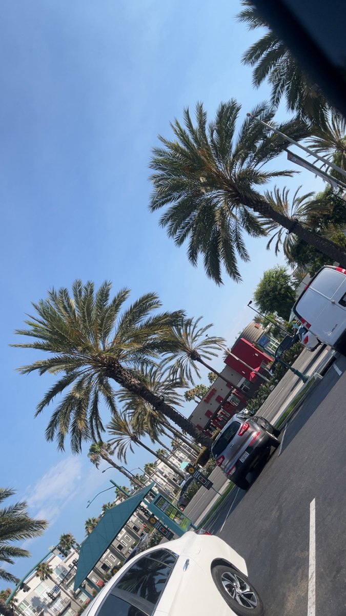 wG_Chromed's tweet image. Life