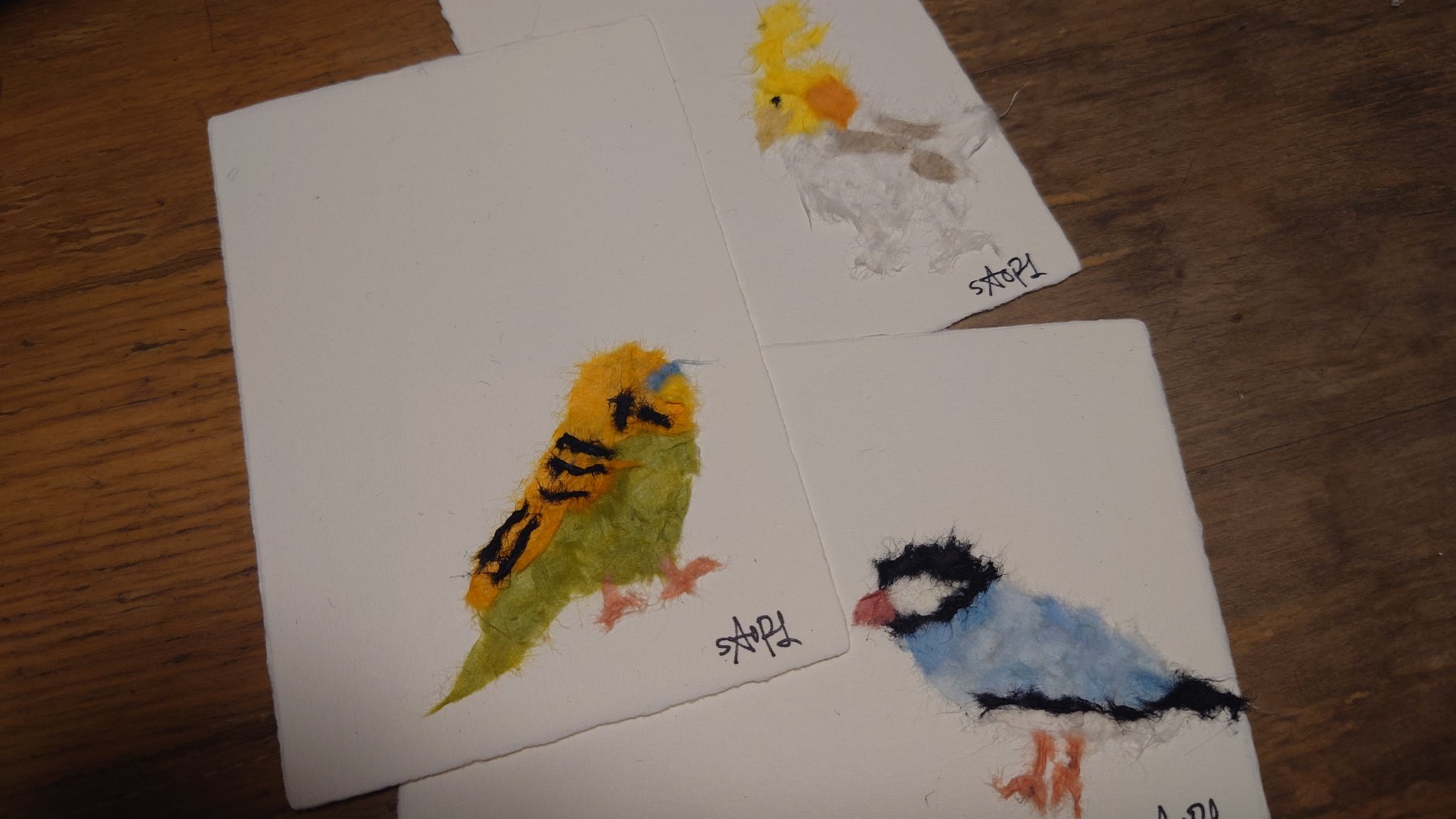カラフルな鳥 僕が作りました。 からふるDreamin'／葉鳥 ここね ～私たちのあたらしい物語