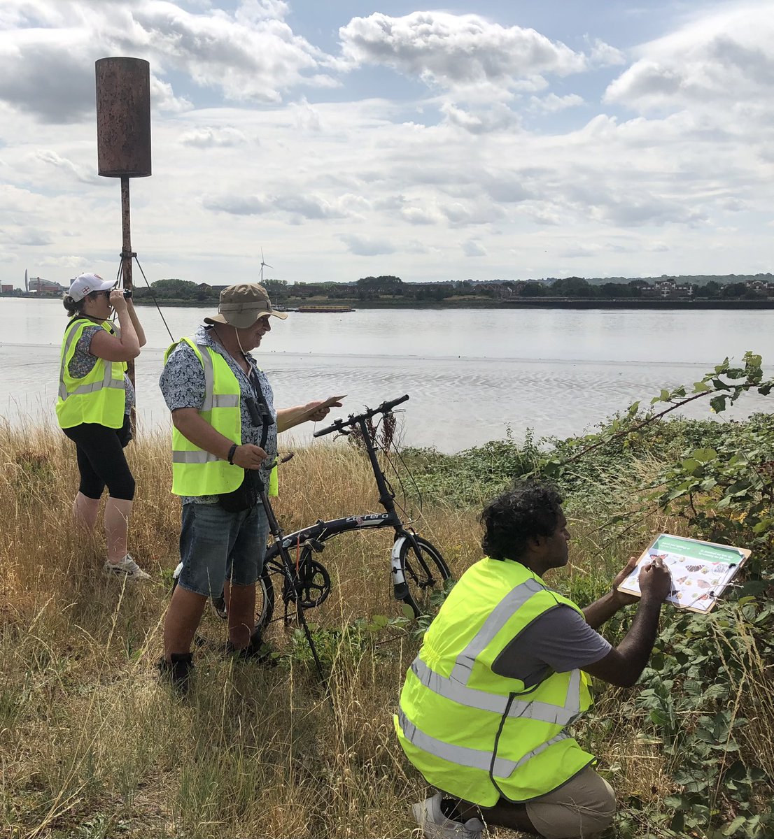 footpath47's tweet image. Concerned residents taking part in …erflycount.butterfly-conservation.org at Barking Riverside, by the River Thames at @Footpath47, where developers are squeezing the important wildlife habitat to build extra apartments overlooking the Thames #Thames #rewilding #wildlife #biodiversity
