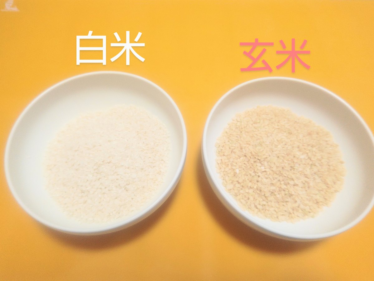 白米くん、プロフ見てね( ´△｀) 様 white parabellum（凪白みと先生）】”ホロライブ”白上フブキ