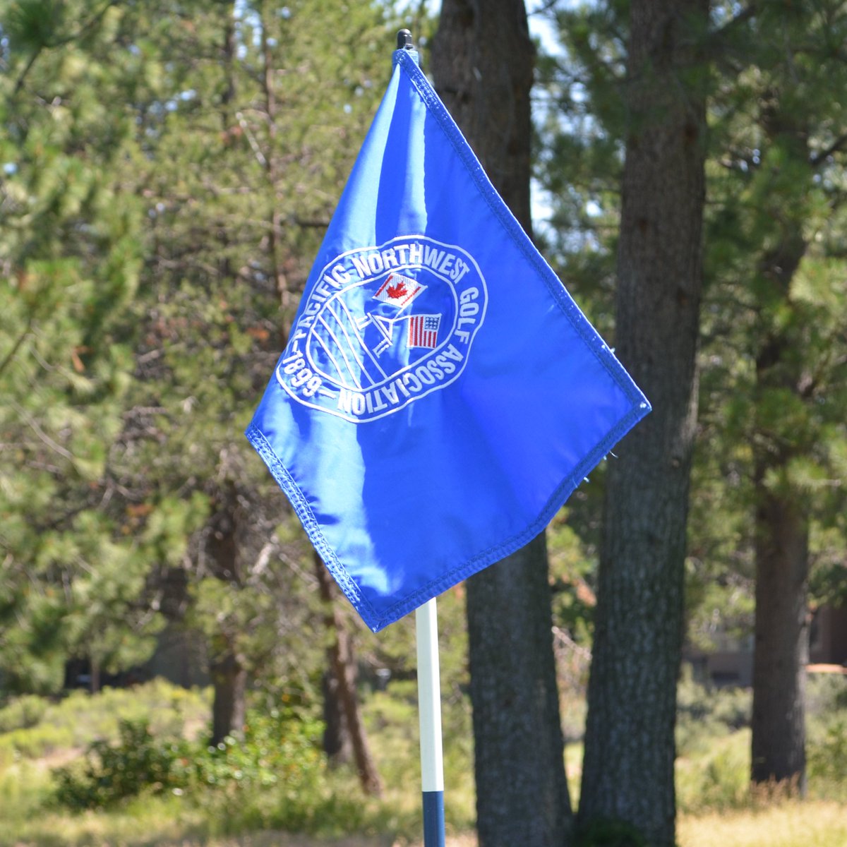 After dropping 6 of the first 8 holes in the 36-hole <a href="/thePNGA/">Pacific NW Golf Association (PNGA)</a> Amateur final, Nilay Naik outscored Sam Renner, 6-5, over the next 25 holes; however, it wasn't enough as he was the runner-up, falling 4&amp;3. Proud of the run!

Scoring: myumi.ch/QwGrb

#GoBlue