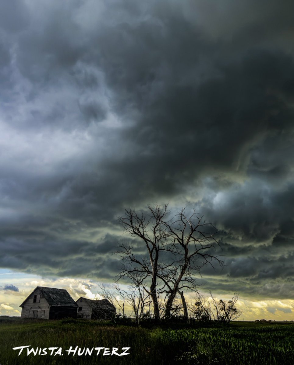 TwistaHunterz's tweet image. Thunderstorm over Rowatt, SK
4:14pm
Definitely one of my favourite photos of the year. 📸
#skstorm