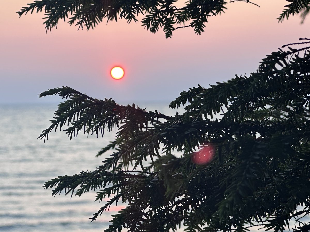 JohnKeatingTV's tweet image. End of Day. Here’s to a great week ahead. #grandhavendeck