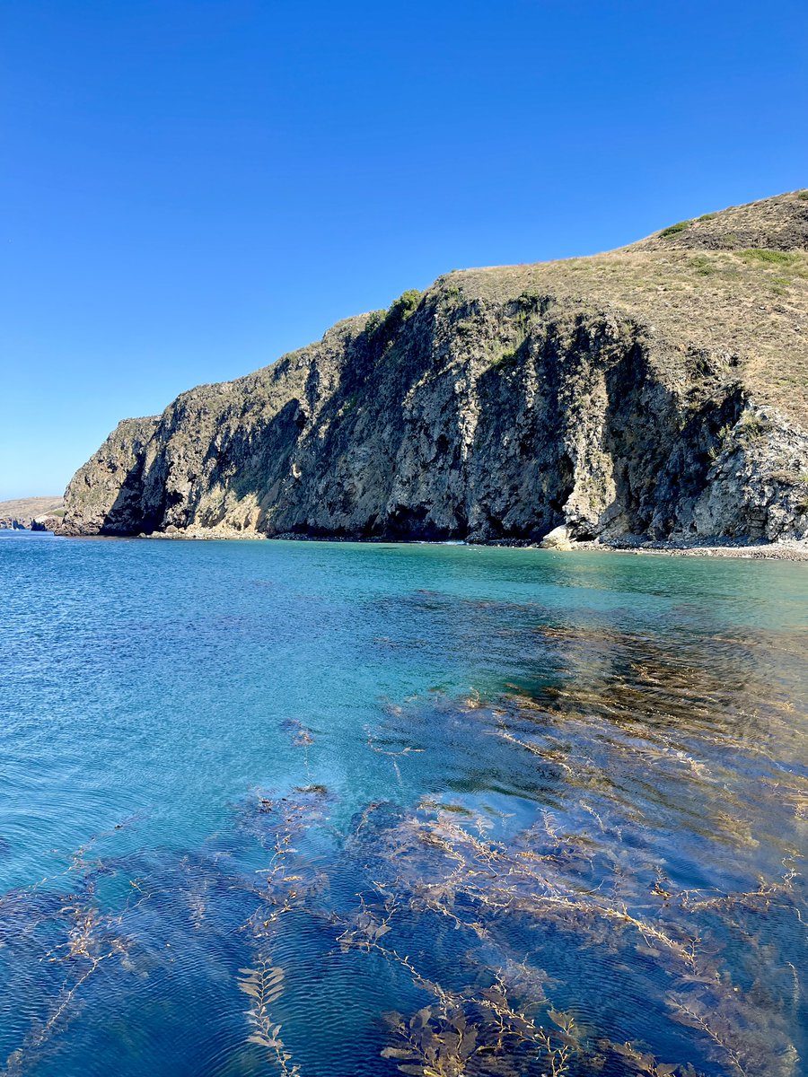 BethDuncan, M.Ed tweet media