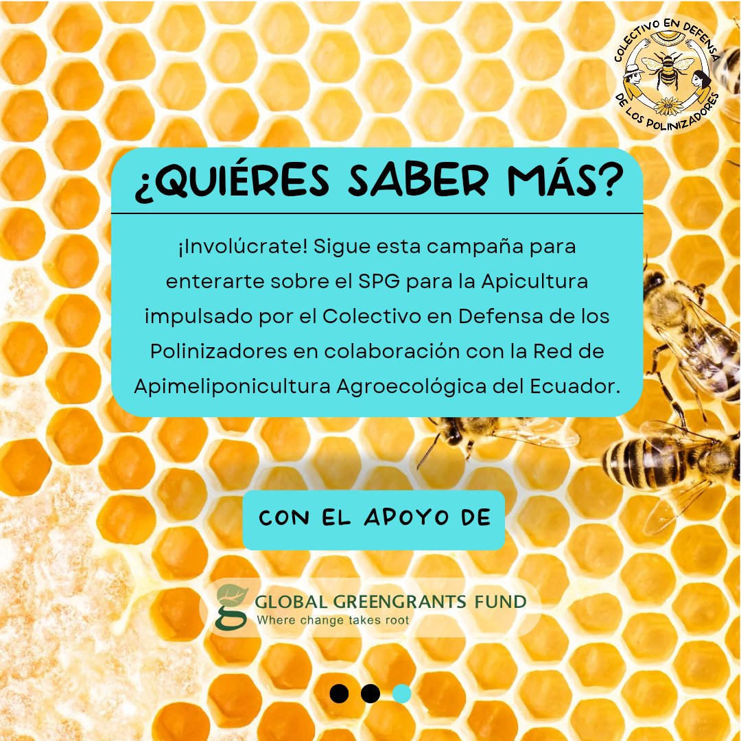 🐝🌺🌿 ¿Qué es un Sistema Participativo de Garantía?
Una herramienta para garantizar los procesos agroecológicos, protegiendo a las abejas y los territorios.
Conoce la campaña #MielQueCuida

#SoberaníaAlimentaria #ApiculturaAgroecológica #spg