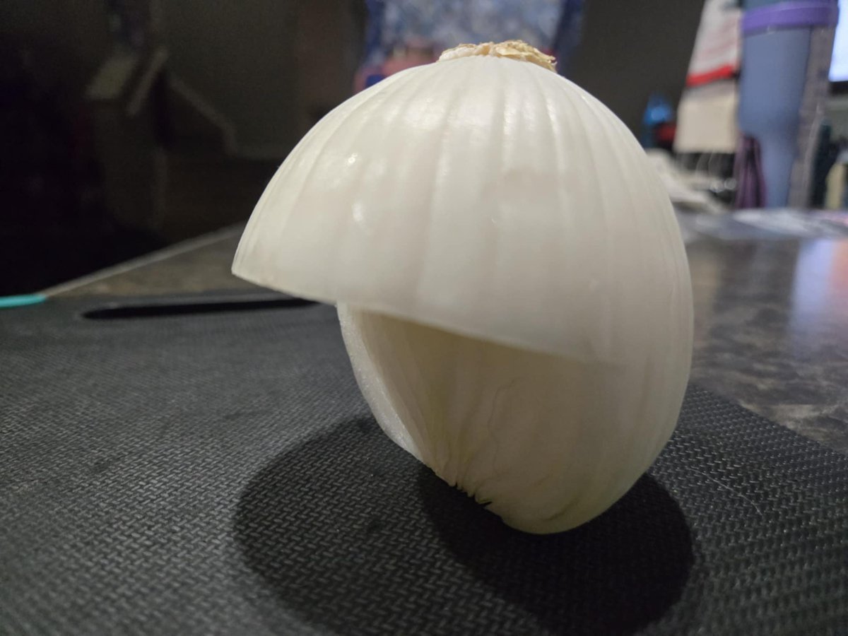 mary_willatt's tweet image. how my 26 yr old grandson cuts an onion when a recipe requires 1/4 of one