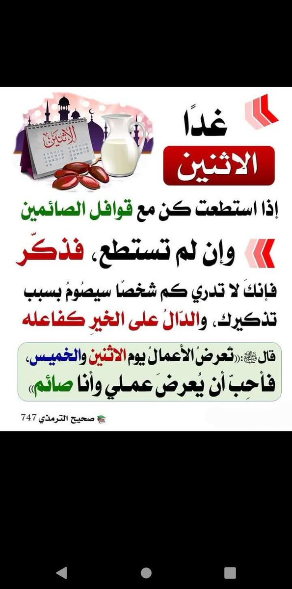 hassan qandil (@hassan_qandil) on Twitter photo 