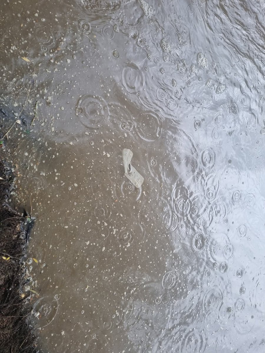 UnderwaterMedia's tweet image. Oh, how beautiful our rivers are, that sweet, distinct smell of Sh1t when out by the river.
#pollution #sewage #rivers.