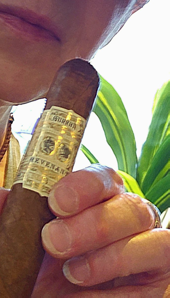 Petit Corona (@achickwithstick) on Twitter photo Happy Sunday, everyone. I got a few moments to enjoy the Corojo Revenant by <a href="/gurkhacigars/">Gurkha Cigars</a>. Perfection.
I hope you're all having a peaceful day. Happy Sunday, everyone. I got a few moments to enjoy the Corojo Revenant by <a href="/gurkhacigars/">Gurkha Cigars</a>. Perfection.
I hope you're all having a peaceful day.