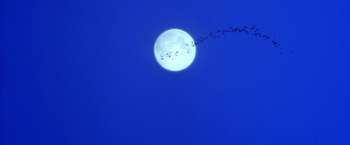 gh0stfacegf's tweet image. Practical Magic β 1998