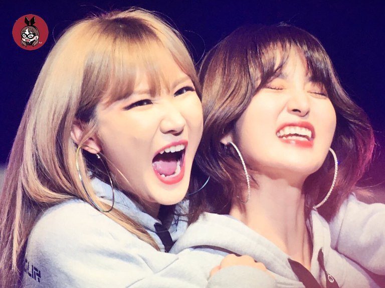 lee_z_x's tweet image. Why the hell is Elly a mouse? She’s supposed to be a cat, she’s Tom g’d damn it! LOL So confused. #KOMS