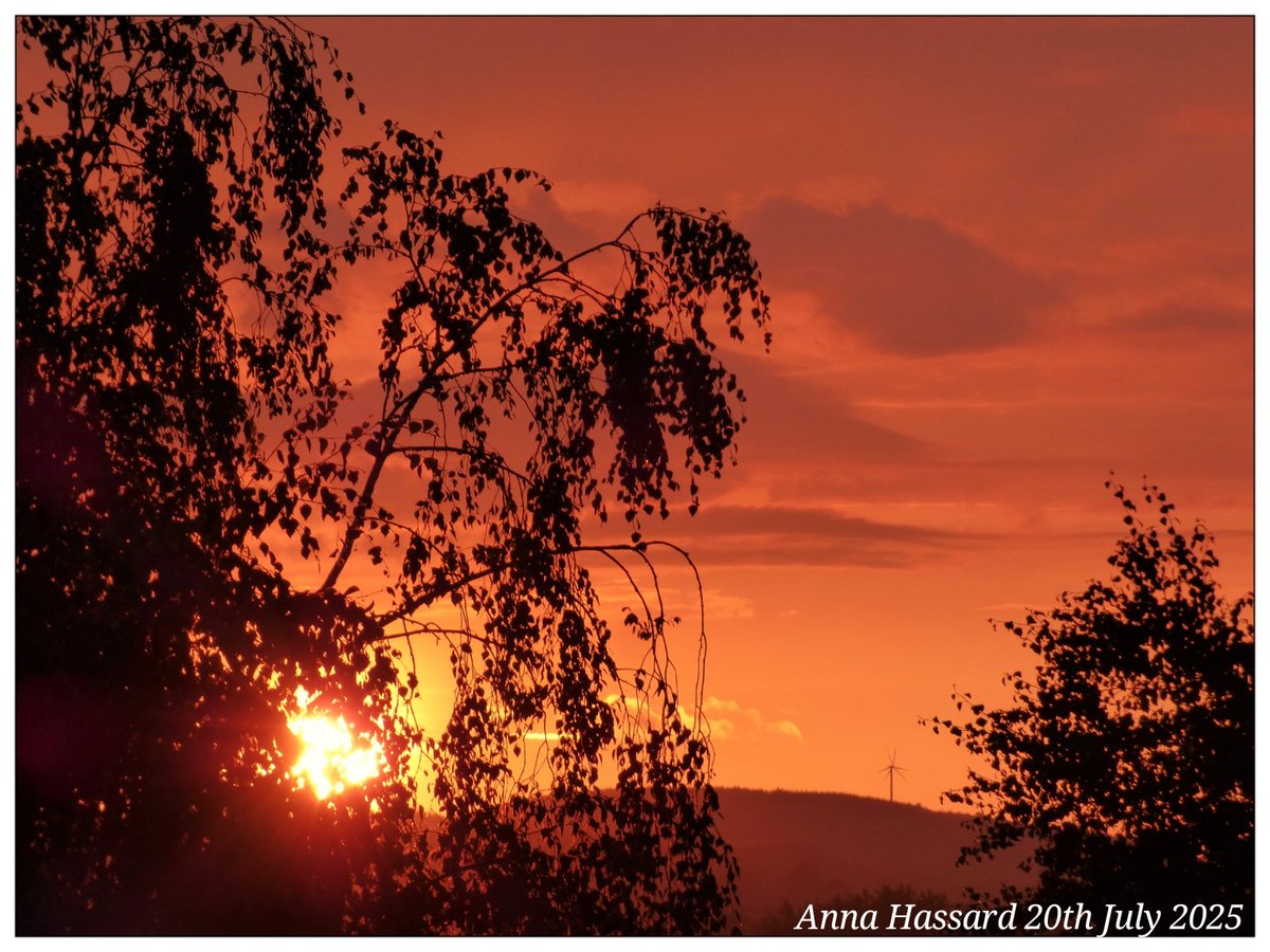 AnnaInFermanagh's tweet image. 