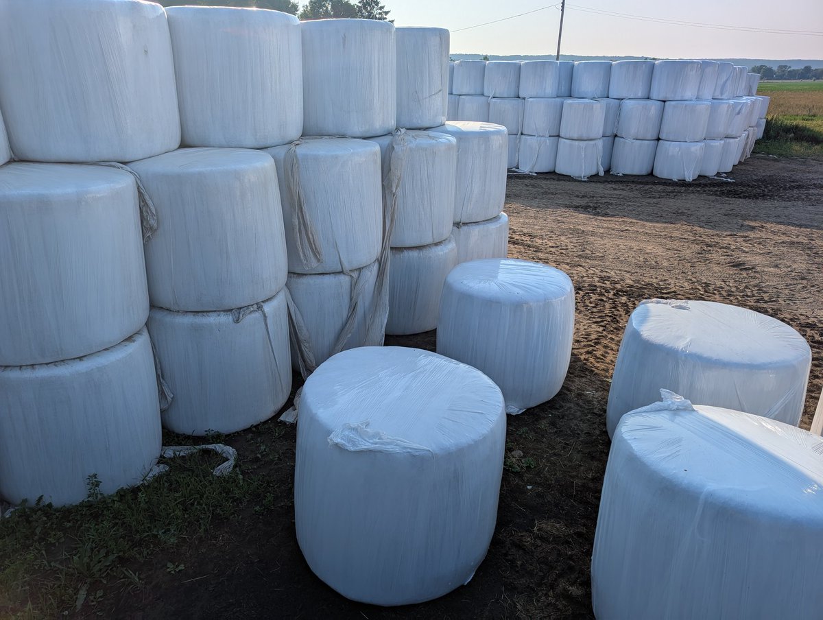 ifarmfresh1's tweet image. All the bales are off the fields and stacked. This is all first cut Alfalfa Timothy and we will be selling some of this if anyone needs. We will ship anywhere.