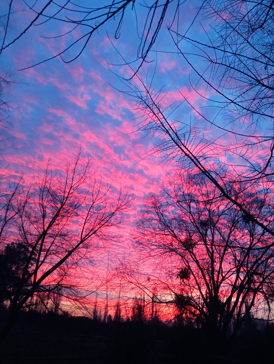Manungo6's tweet image. Tarde es..