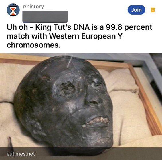 LetsGoBrando45's tweet image. Hey Caucasians 👋,
We wuz kings and sh💩t‼️
Now ask yourself how Joseph and Moses fit in with the Egyptians?🙋♂️
🤔🤔🤔💡🤯😎