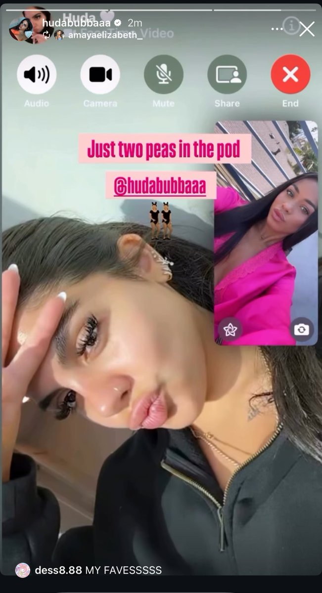 bobbicoulda's tweet image. My two baddies