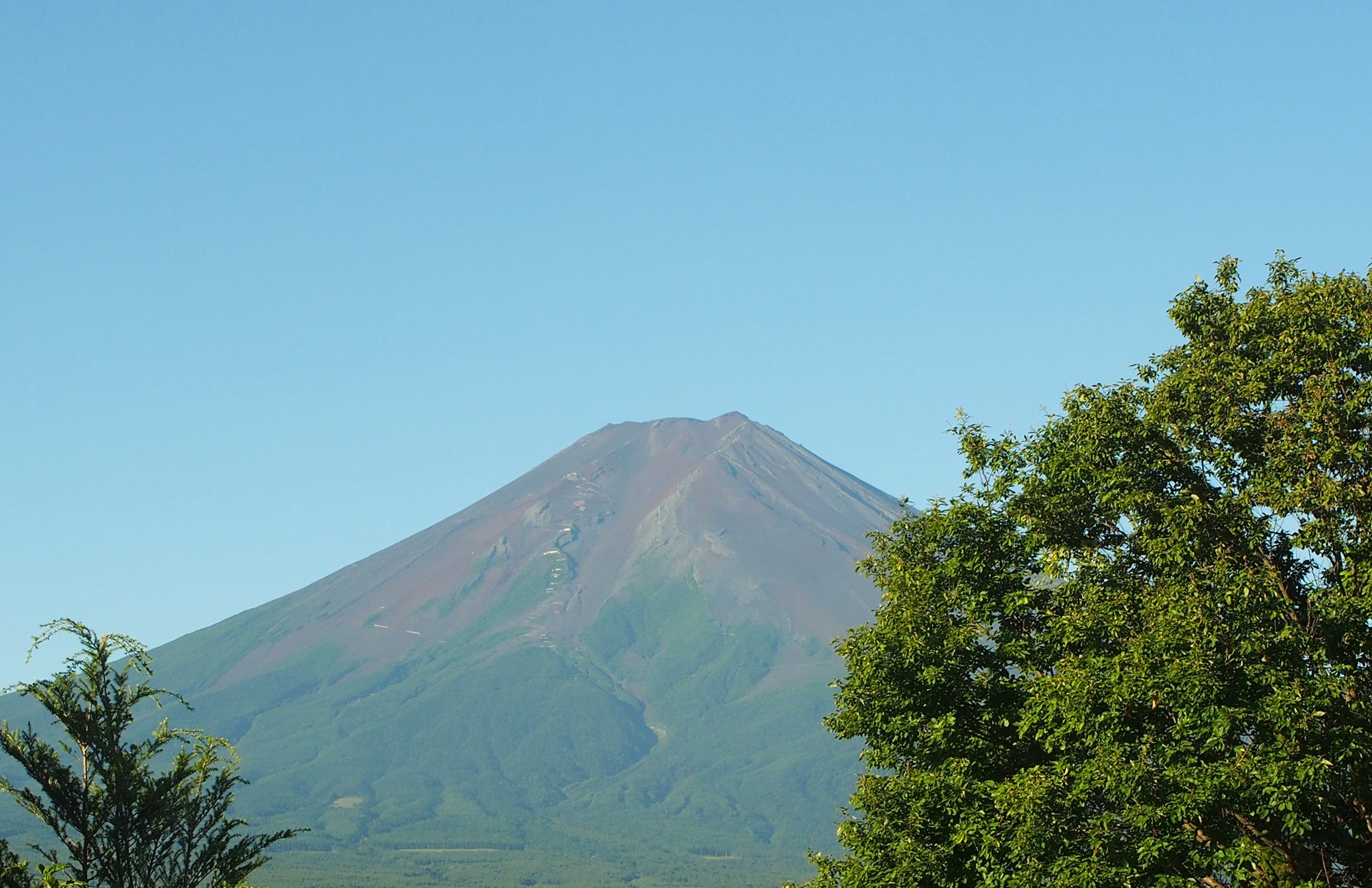 富士山⁇譲ります やっこ on X: 