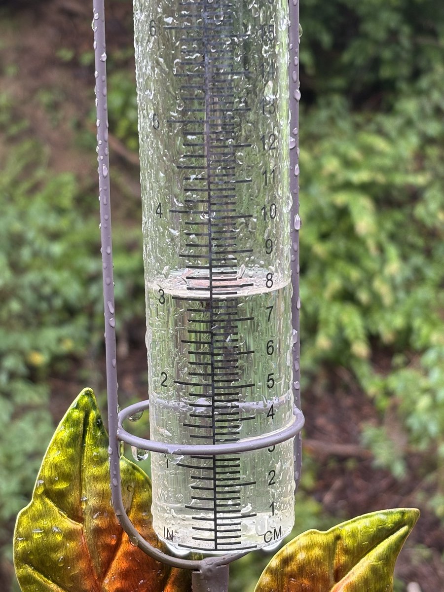 blufeatherz's tweet image. Pike @Kentuckyweather