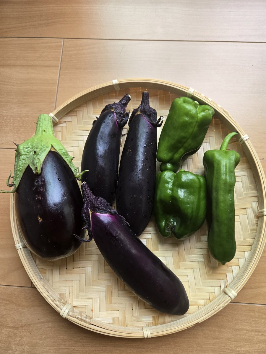 hideee77593138's tweet photo. ナイス夏野菜 https://t.co/h4tr5IR9Sf