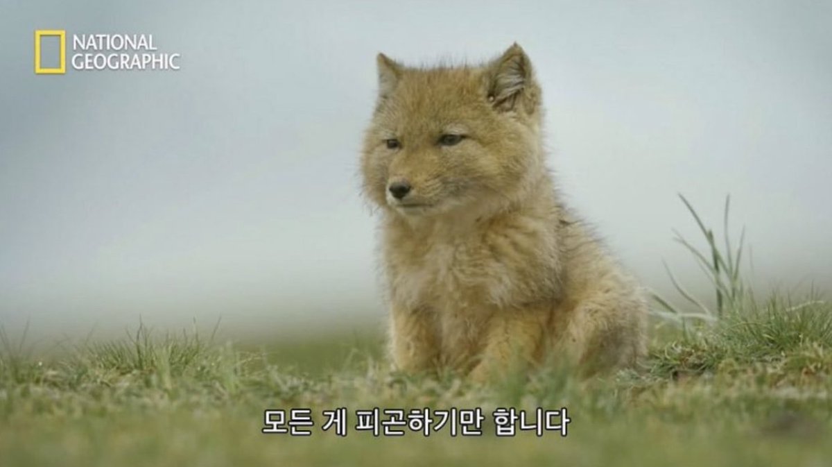 모든 게 피곤하기만 합니다
