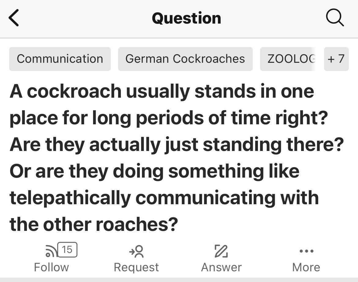 Quorators's tweet image. 