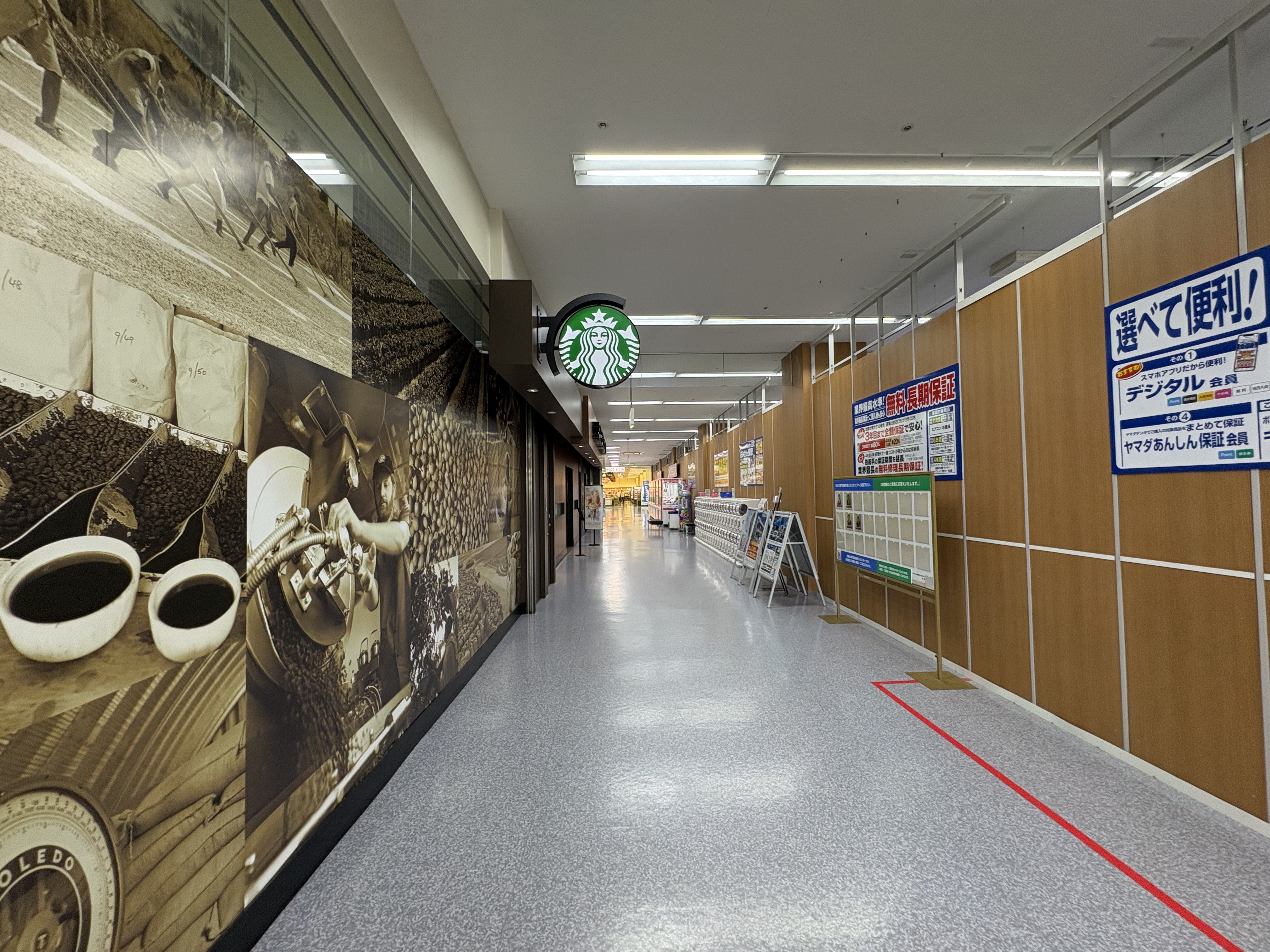 スターバックス！トレー３点セット❣️非売品！お値下げ❣️ ｽﾀﾊﾞ - Search / X