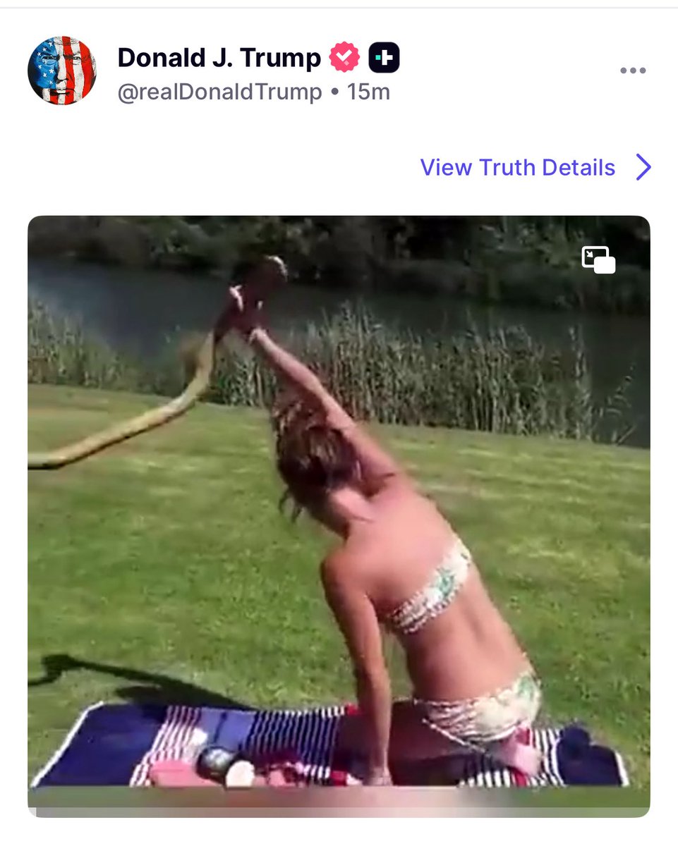 meiselasb's tweet image. Trump is posting random videos of a girl in a bikini catching a snake