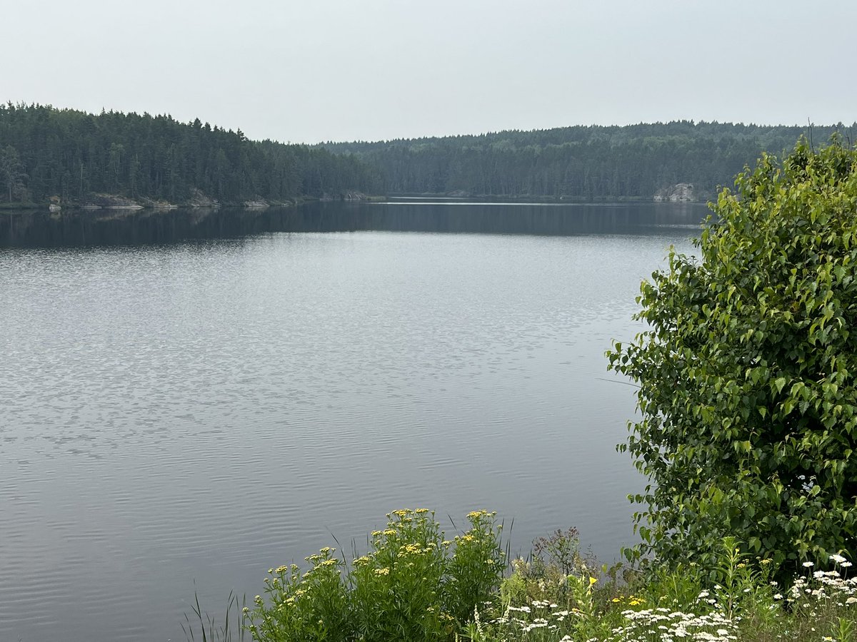 LichTamara's tweet image. Ontario, so far! Finally past Thunder Bay and onto my favourite part of the trip, Lake Superior.
🇨🇦