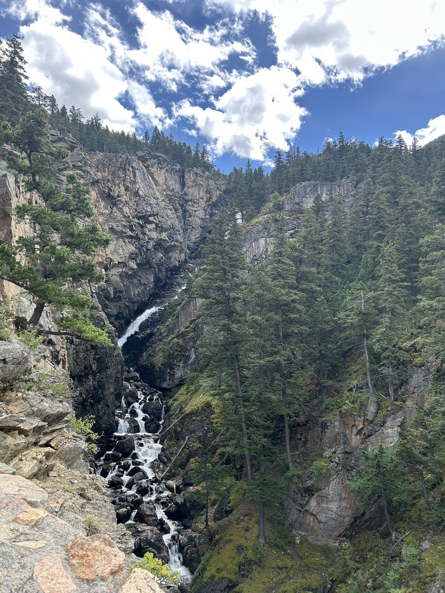 JerkStoreManagr's tweet image. We’re so back #Montana