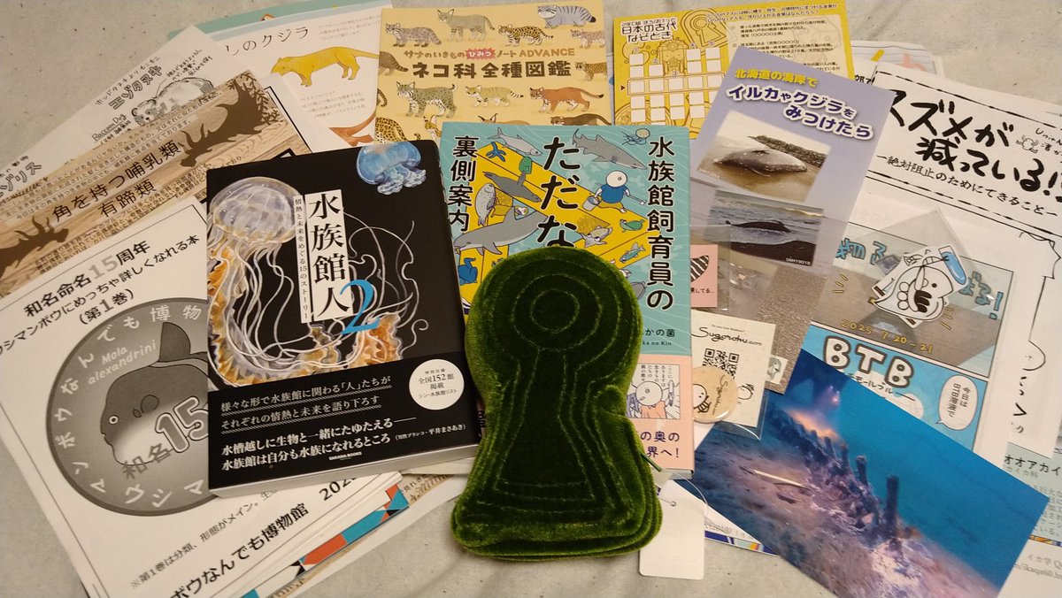 b_ism's tweet image. #博ふぇす収穫祭 (敬称略)
マンボウなんでも博物館「ウシマンボウにめっちゃ詳しくなれる本」
SAKANA BOOKS「水族館人2」
なんかの菌「水族館飼育員のただならぬ裏側案内」
キクチミロ「サナのいきものひみつノートADVANCEネコ科全種図鑑」
宇宙椅子 古墳クッション
その他 ガクタメ多数 m(_ _)m