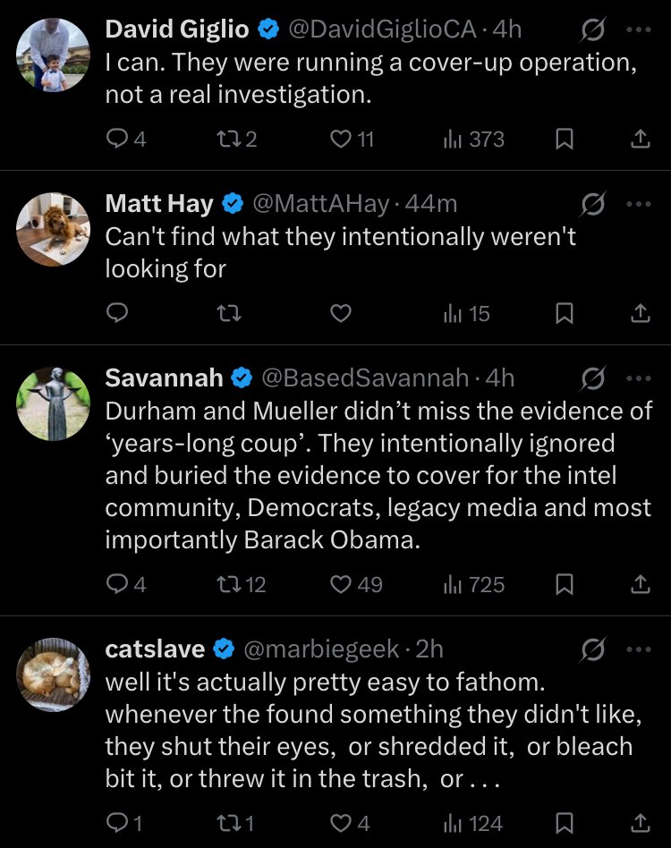 PokerPolitics's tweet image. We have gone from “Durham is coming!” To Durham the Black Hat.