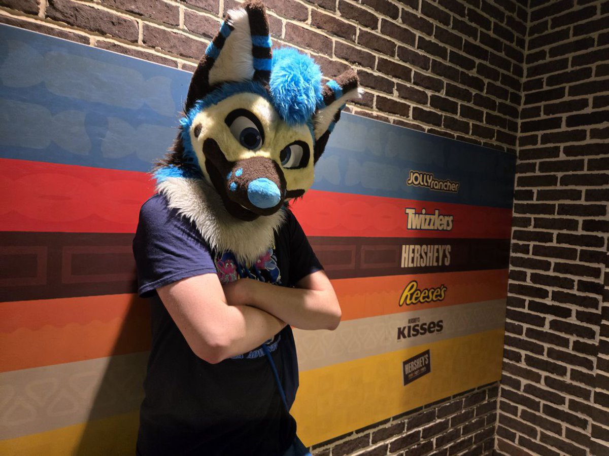 ShepGoesBlep's tweet image. I鈥檓 a jolly barker. Or a doggy rancher. Something like that