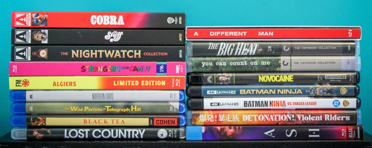 DillonGonzales2's tweet image. Don't miss my exploration of some new physical media gems on No Streaming Required including beloved labels such as Arrow Video, The Criterion Collection, 88 Films, A24, Kino Lorber, Shout! Studios and more.
Check it out: youtu.be/erEYhJvcGbg?si…