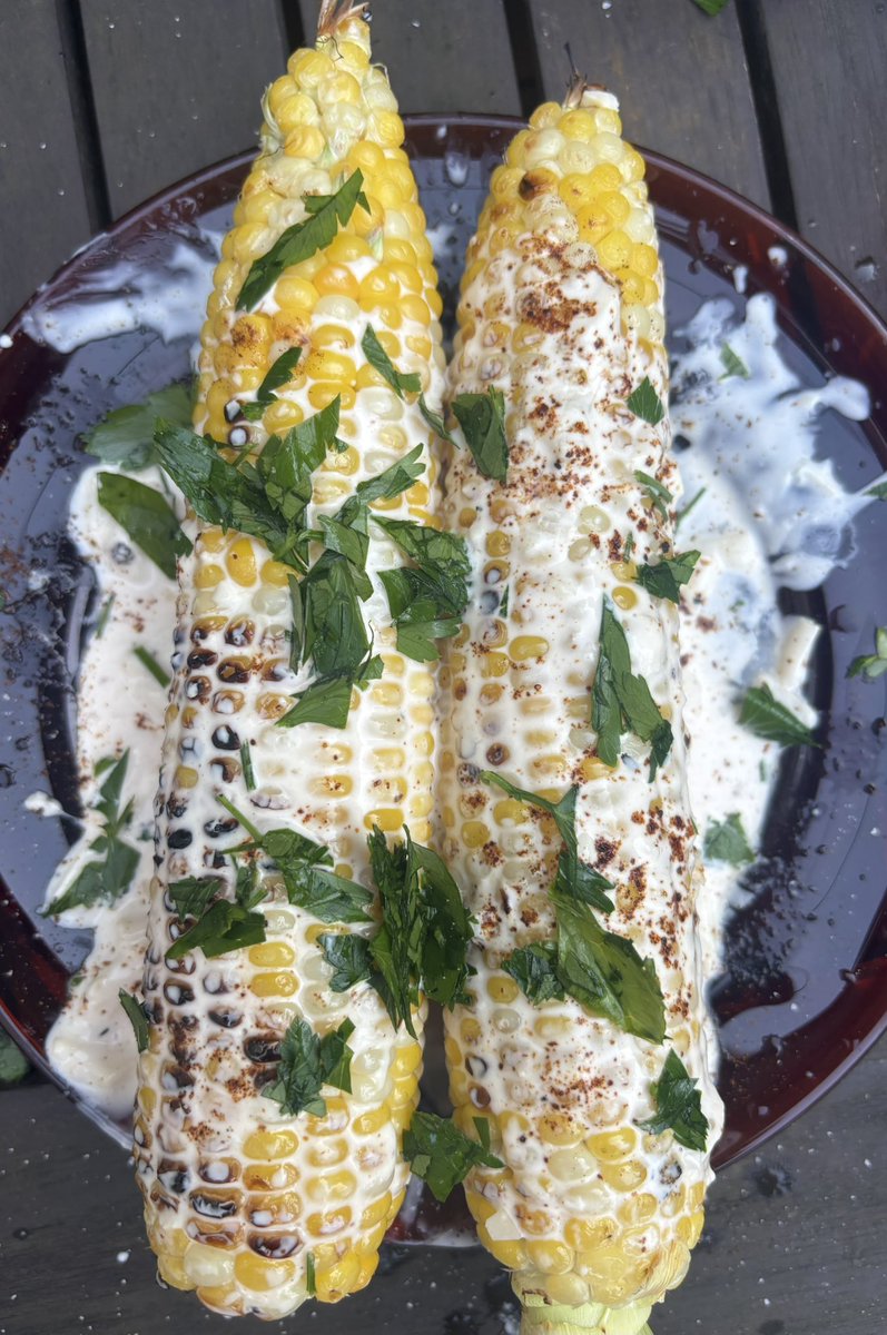 sonofsarah's tweet image. First try at Mexican street corn
Happy grilling season everyone! π₯π