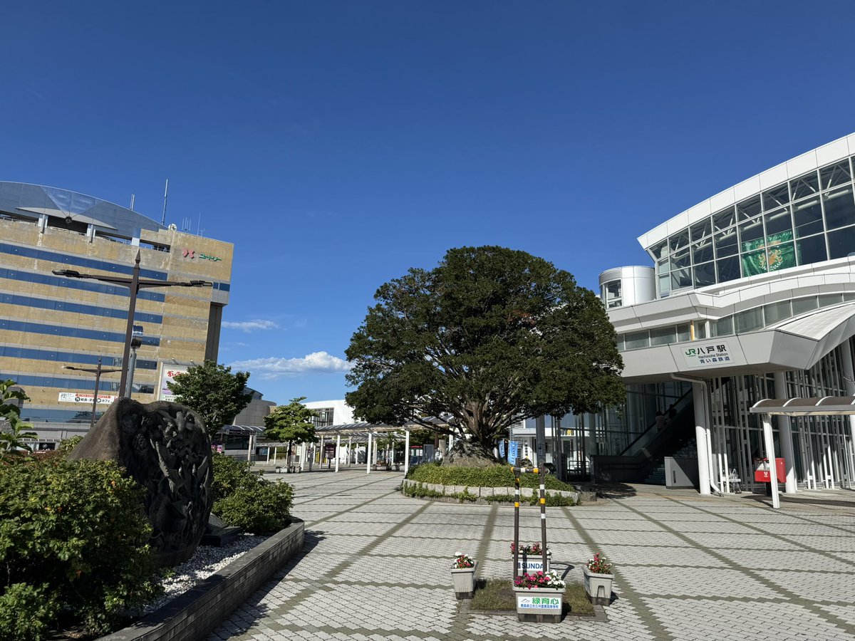 Jun1CanDo's tweet image. (8:10)戦いが終わり、快晴の八戸駅から新幹線で東京へ🚄
行動と発信の季節から、思索と直感の季節へ。
お土産は、事務所のお隣の「時空」さんの焼き菓子です。
