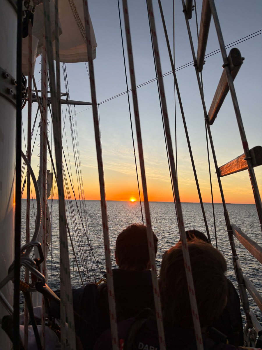 YoungEndeavour1's tweet image. ⚓Captain's Log V12/25 - Day 07
Day Seven began with whales and dolphins surrounding us while we enjoyed an excellent breakfast.
💻Full Captain's log entry at our website