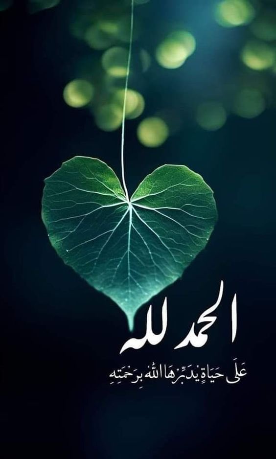 نـــــوره 🇸🇦 (@888__q) on Twitter photo 